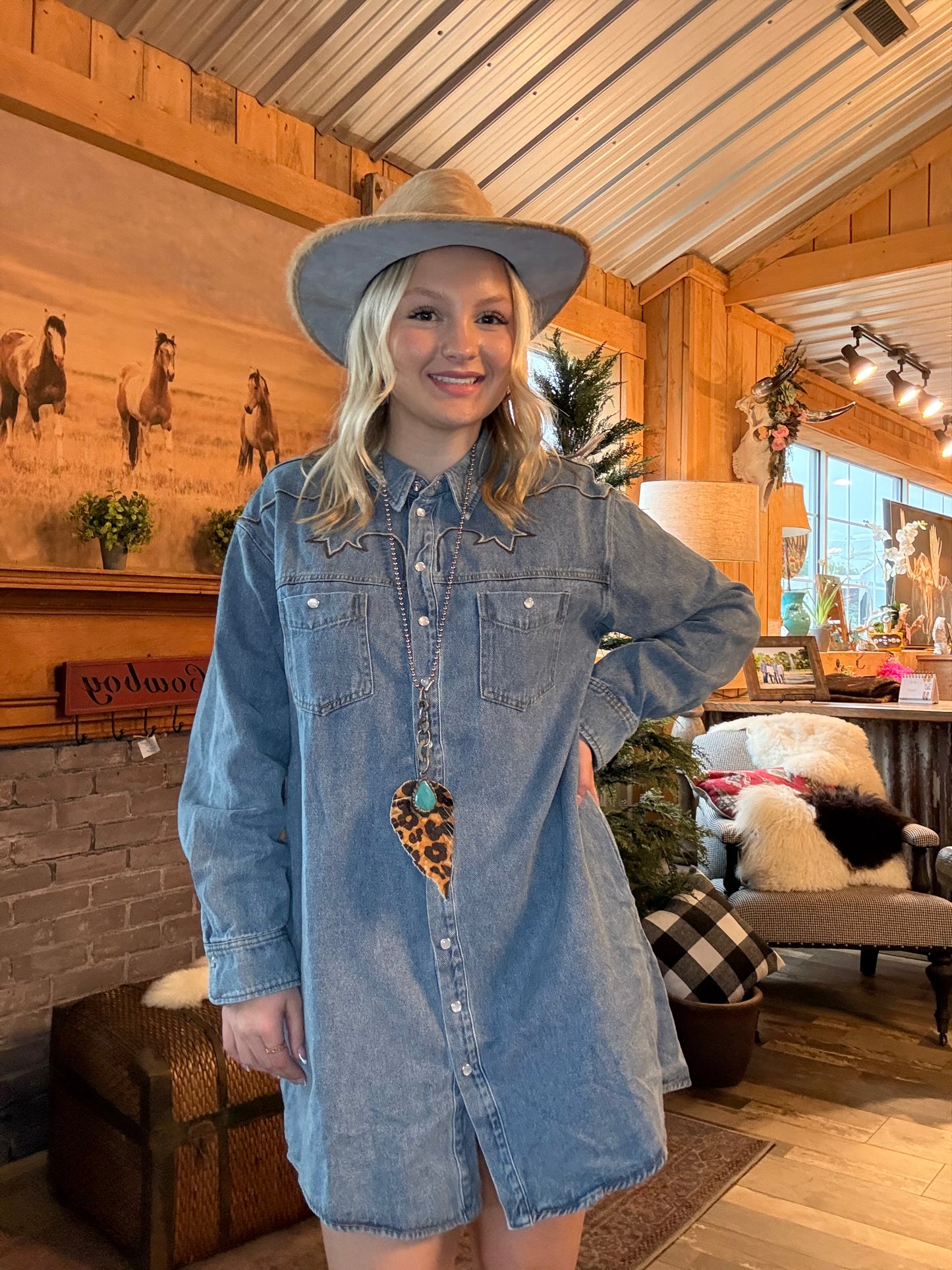 Stitch Embroidered Denim Dress