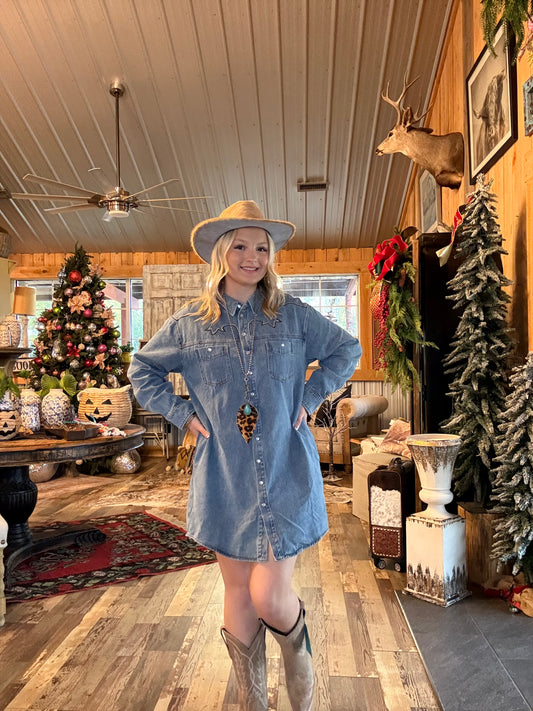 Stitch Embroidered Denim Dress